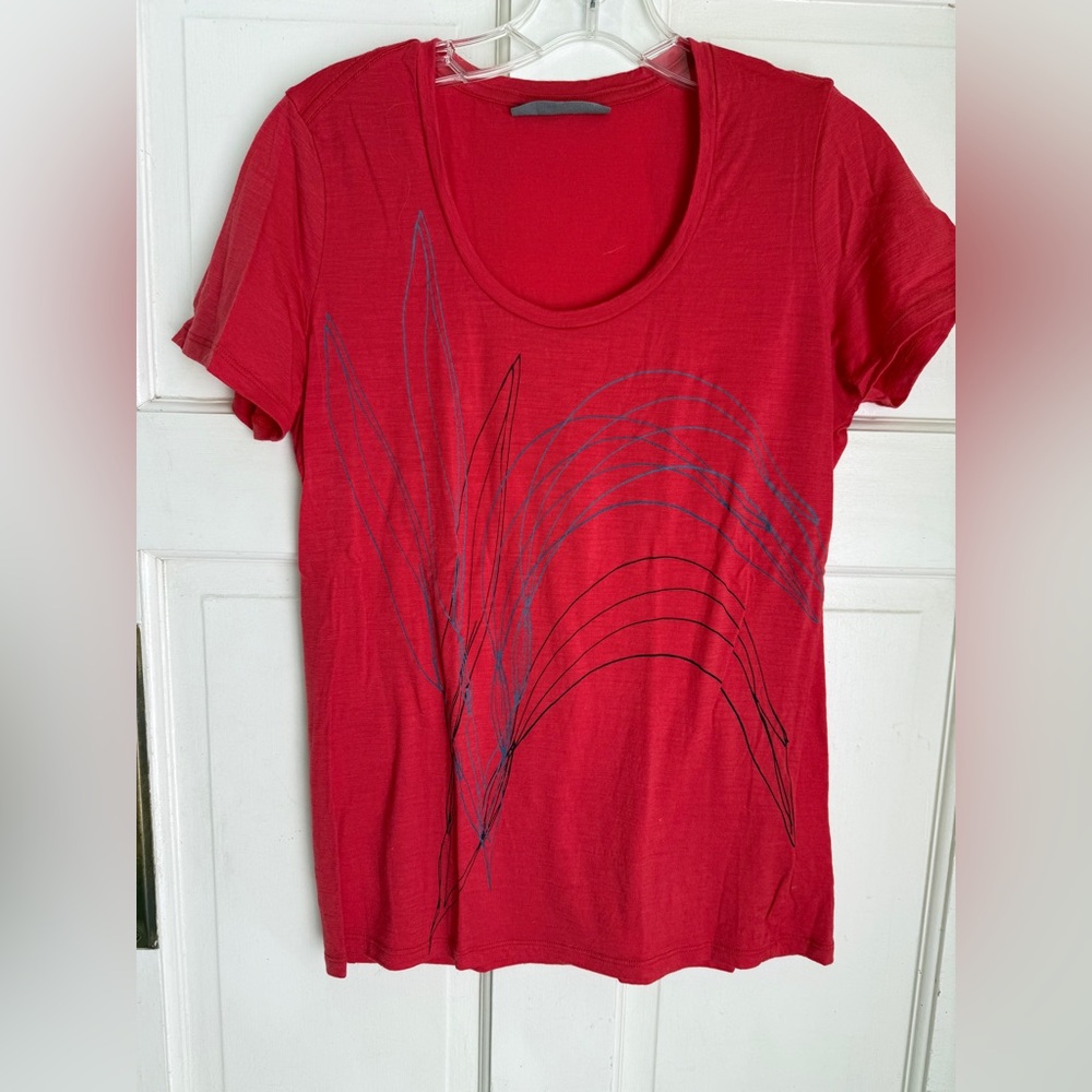 Icebreaker Tee
